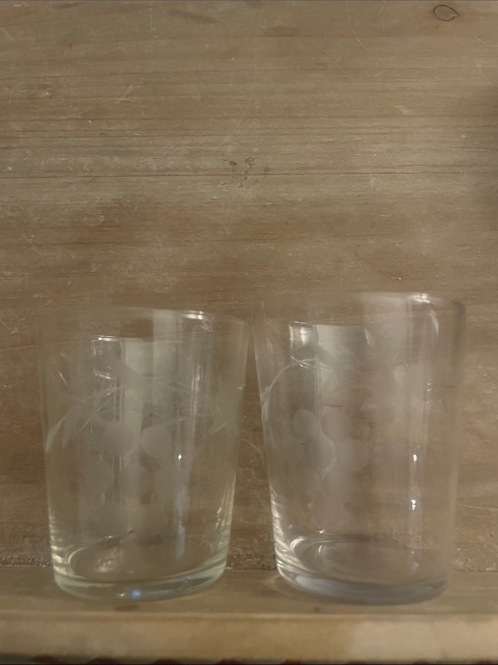 Clear Glass shot glasses with Etched grape  Motif - Set of 2